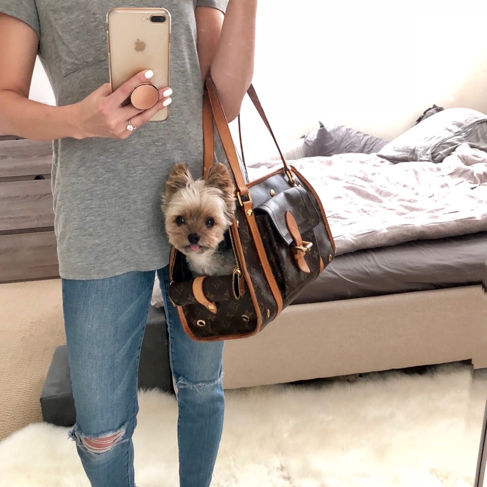 ❌SOLD❌ 🖤 LOUIS VUITTON Baxter PM Dog Carrier - Picture 8 of 8